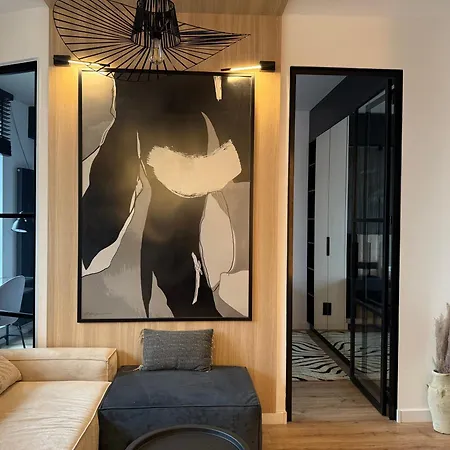 Sokolska 30 Towers Premium M&m - Centrum ,rynek, Spodek, Mck, Nospr - Free Parking * קטוביץ